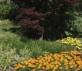 Progettazione realizzazione creazione di giardini e parchi bergamo ... Progettazione giardini bergamo