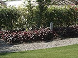 Giardini Begramo