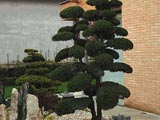Giardini Begramo