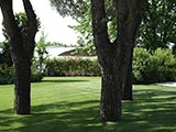 Giardini Begramo