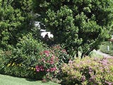 Giardini Begramo